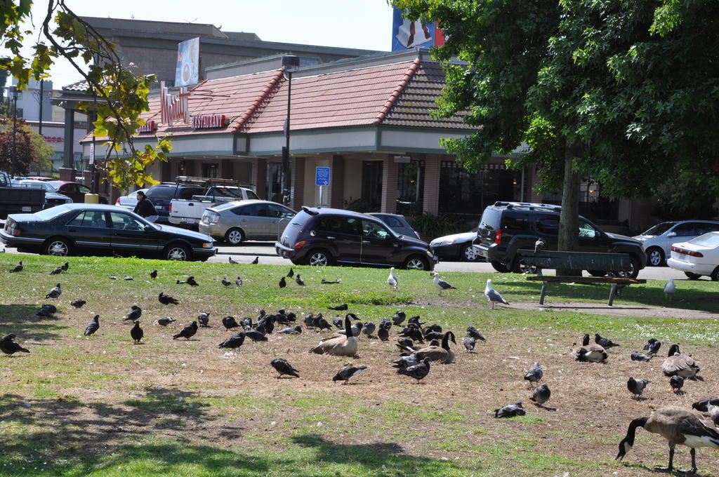 Americas Best Value Inn - Downtown Oakland/Lake Merritt Eksteriør bilde
